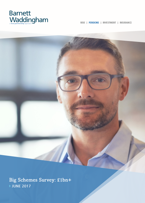 Big schemes survey 1