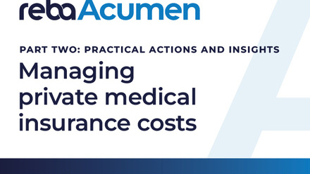 REBA_Acumen_PMI_part2_report_tile