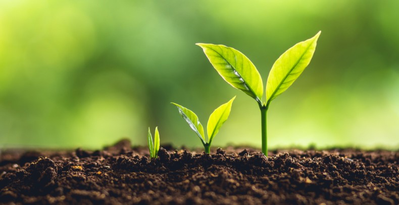 3 steps to ensure your most expensive employee benefit adds value.jpg