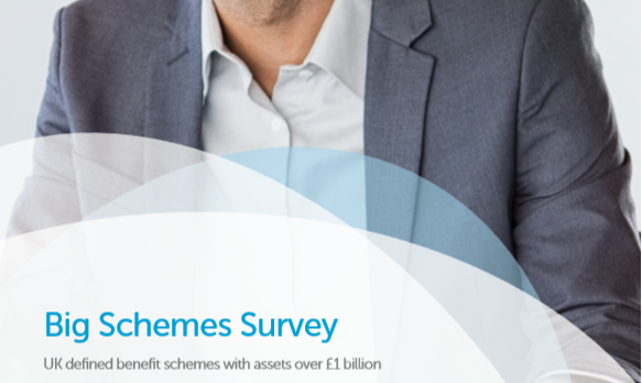Survey: Big Schemes Survey 2018 1