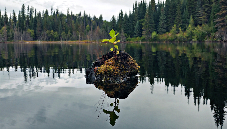 How to help employees improve their financial resilience.jpg 1