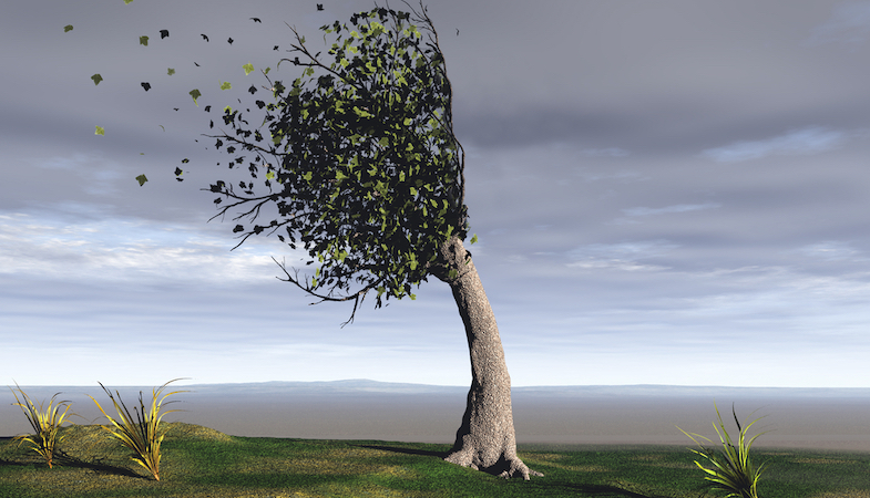 3 tips for improving employee financial resilience.jpg 1