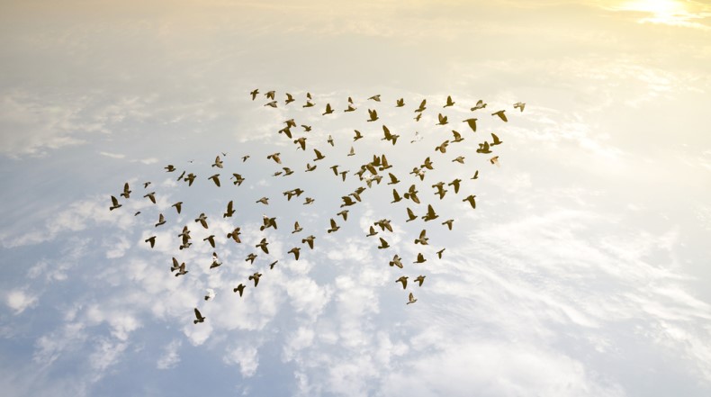 Dave Roberts on how benefits are evolving at Virgin Media O2.jpg