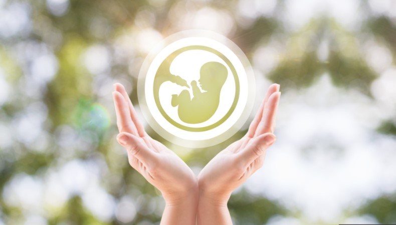 Family-friendly benefits: How to support employees during fertility treatment  main.jpg