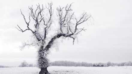 Top 10 stories this week: Employers need to prepare for difficult winter ahead feat.jpg