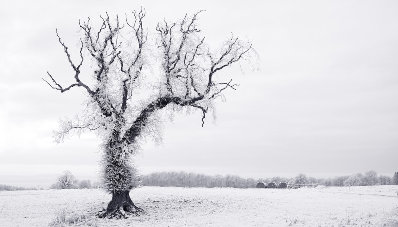 Top 10 stories this week: Employers need to prepare for difficult winter ahead main.jpg