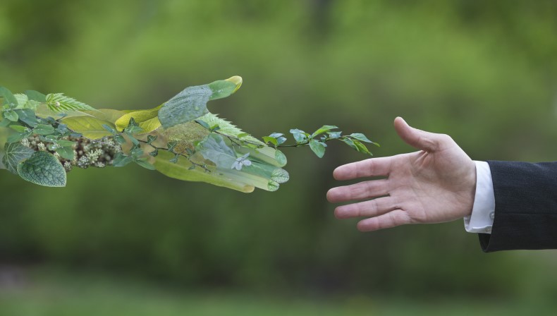 How reward and benefits are being used to empower employees to live more sustainably.jpg