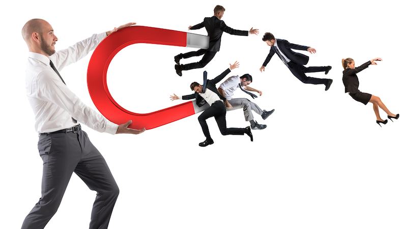 Talent magnets: six key factors that help make a business a great place to work.jpg 1