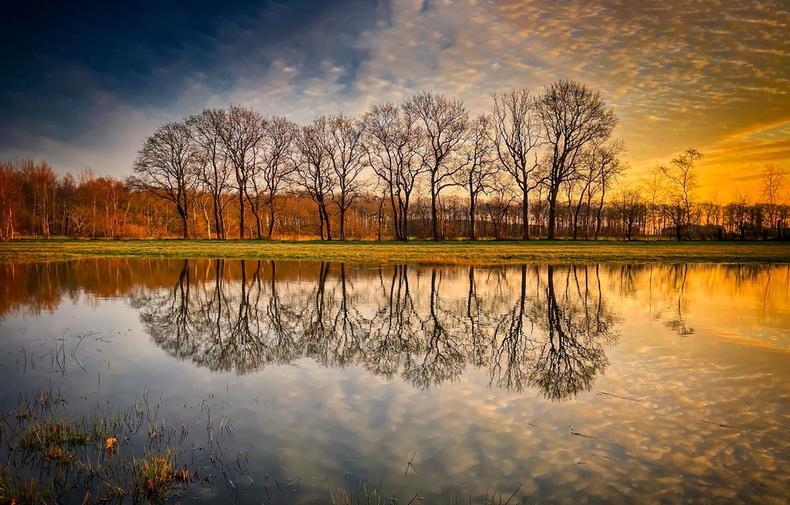 Hazel Mainwaring of E.ON UK on how to reflect sustainability in pay and pensions.jpg