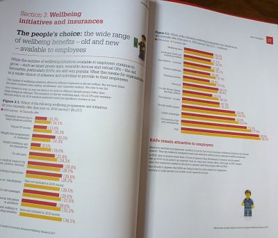 Employee Wellbeing Research 2017 1